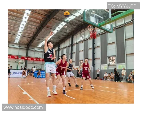 重庆篮球队实力强劲荣登全国篮球力量排行榜第六位